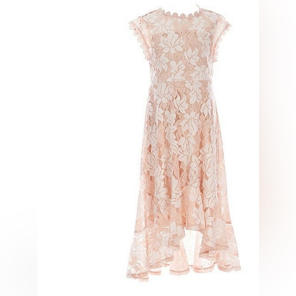 High-Low Maxi Dress in Blush